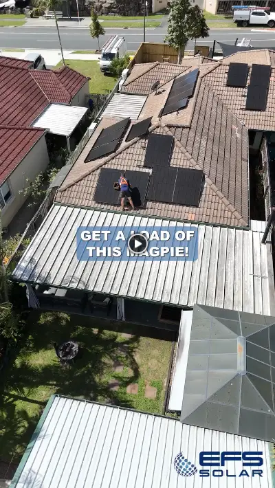 Video thumbnail 3